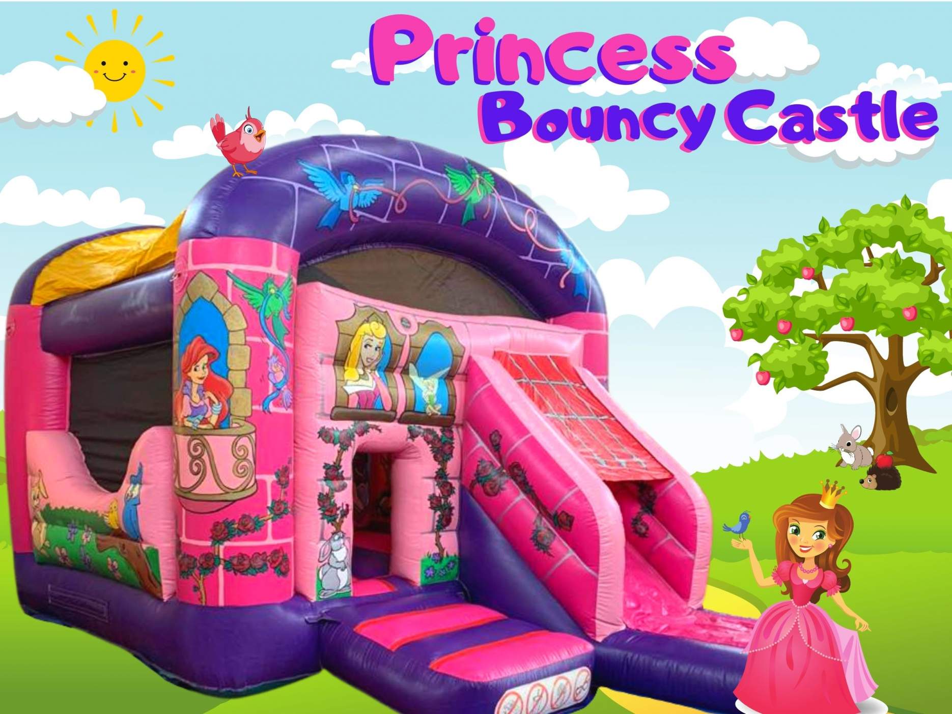 Princess Bouncy Castle Slide Combo